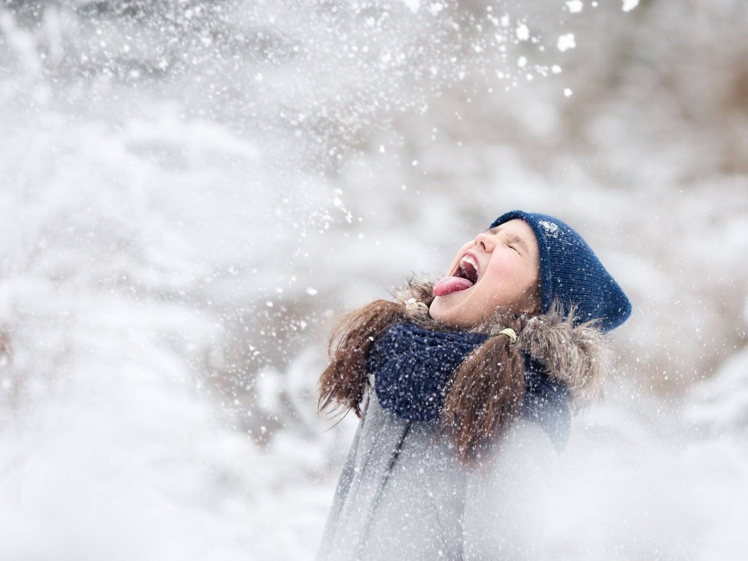 , Димант Анна