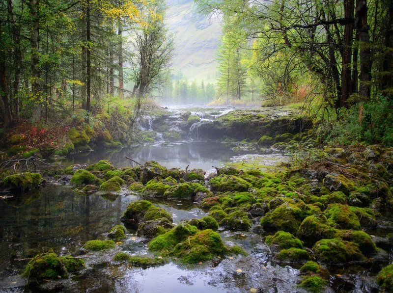 В гостях у сказки фото превью