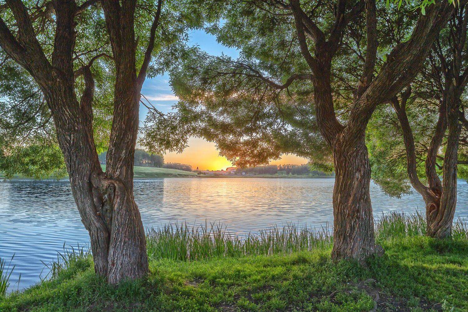 , Николай Андреев