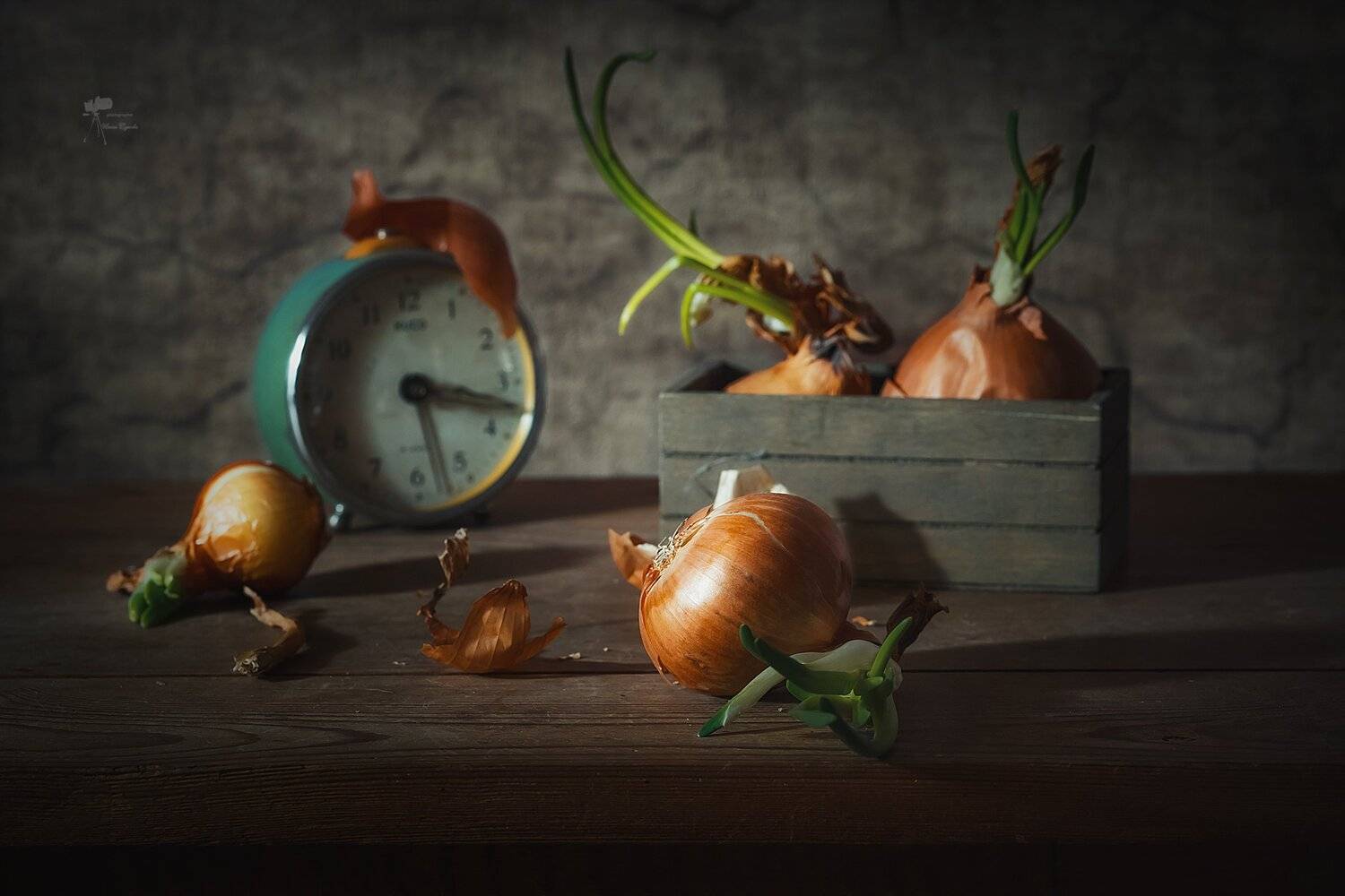 , Инна Сухова