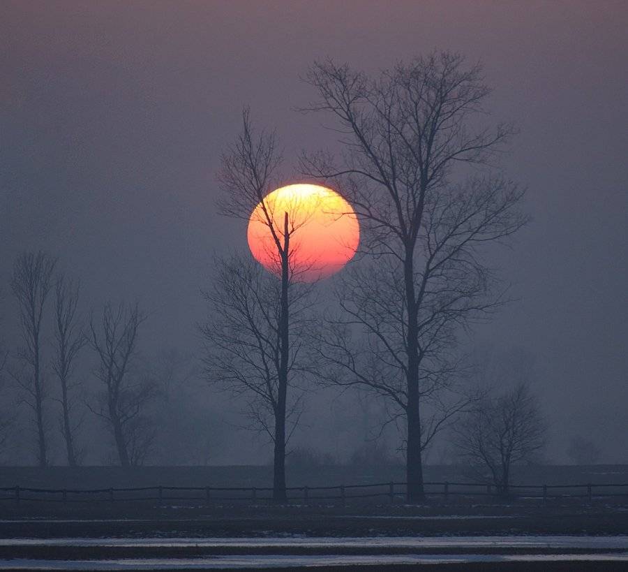, Pawel Plucinski