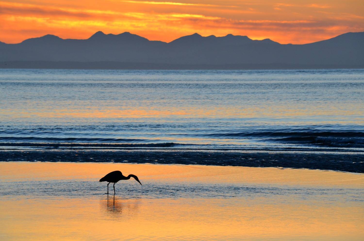 , Андрей Степанов