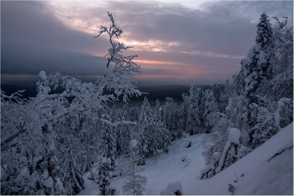 рассвет, скалы,деревья, снег, Кондратьев Алексей