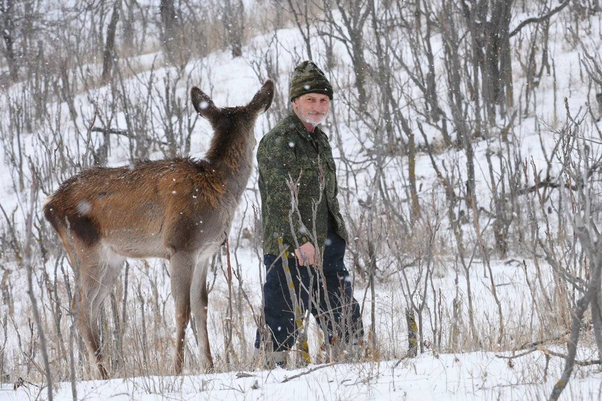 встреча, Александр Маркелов