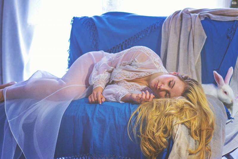 белый кролик фото превью