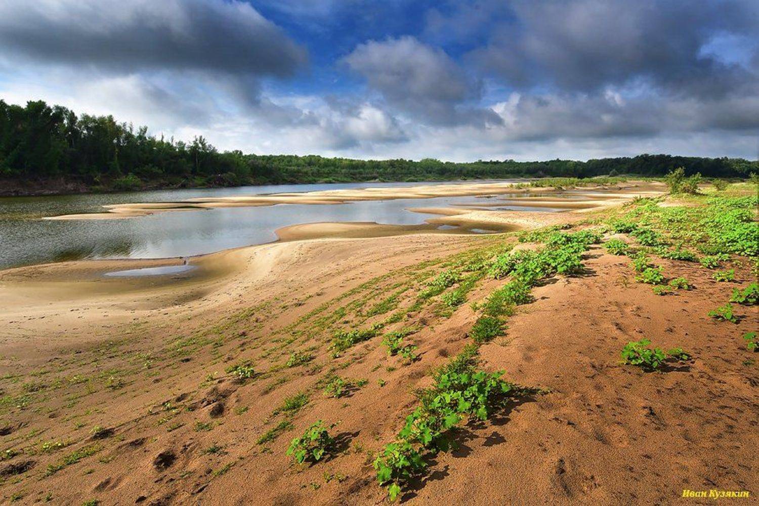 ерик, Ахтуба, репейник, протока, отмели, песчаные косы, пляж, Харабали, Волго-Ахтубинская пойма, фототур, путешествие на хаусботе, Ivan