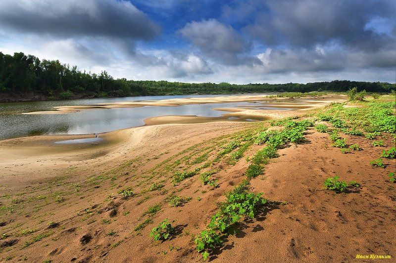 ерик, Ахтуба, репейник, протока, отмели, песчаные косы, пляж, Харабали, Волго-Ахтубинская пойма, фототур, путешествие на хаусботе Зеленая дорожка к пойменным лесам фото превью