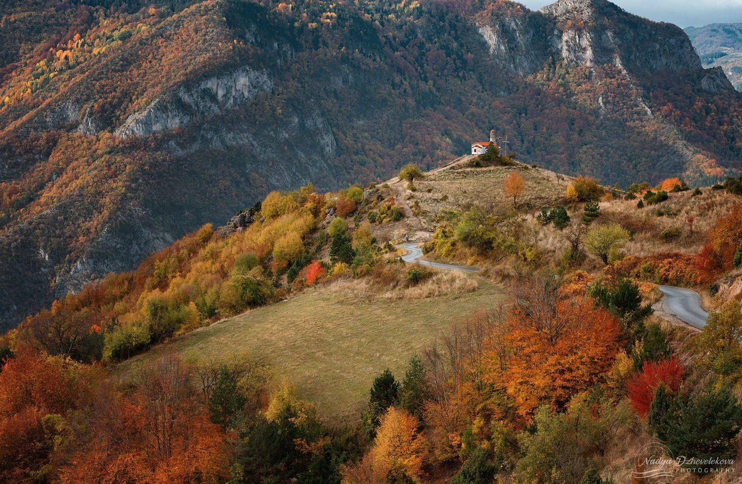 , Надя Джевелекова