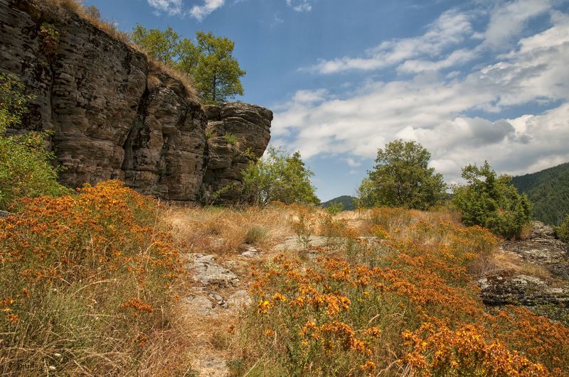 ЩутГрад - Ворота в Космоса фото превью