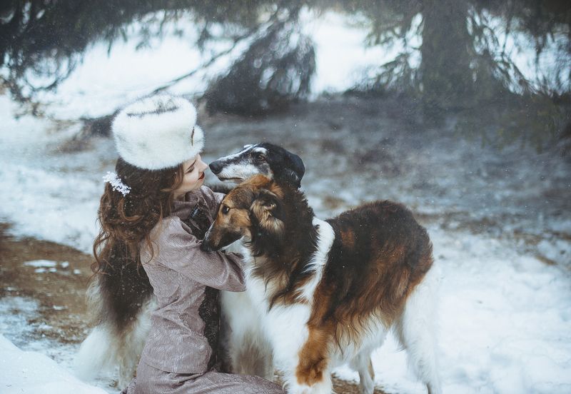 Genteel  фото превью