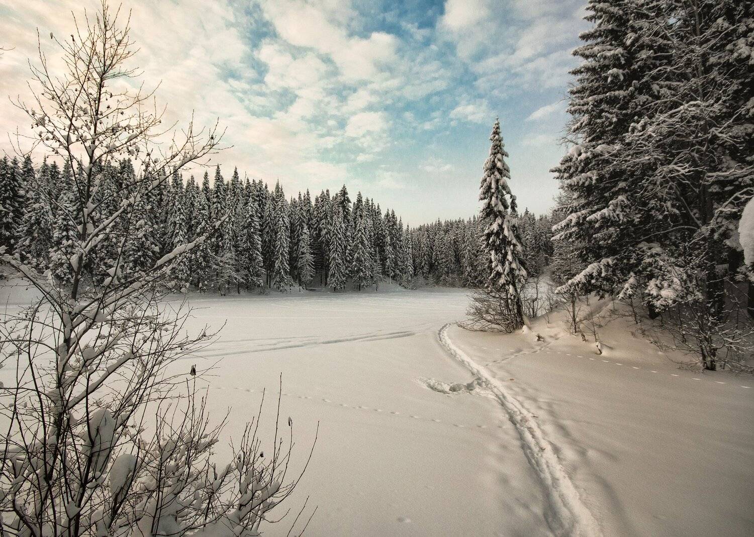 зима,холод,сказка,тишина, Карепанов Евгений