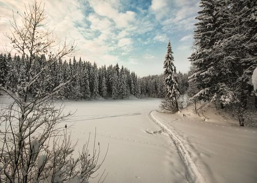 Зима — это настоящая сказка!