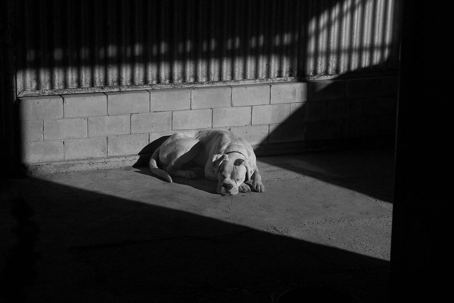 , Инна Сухова