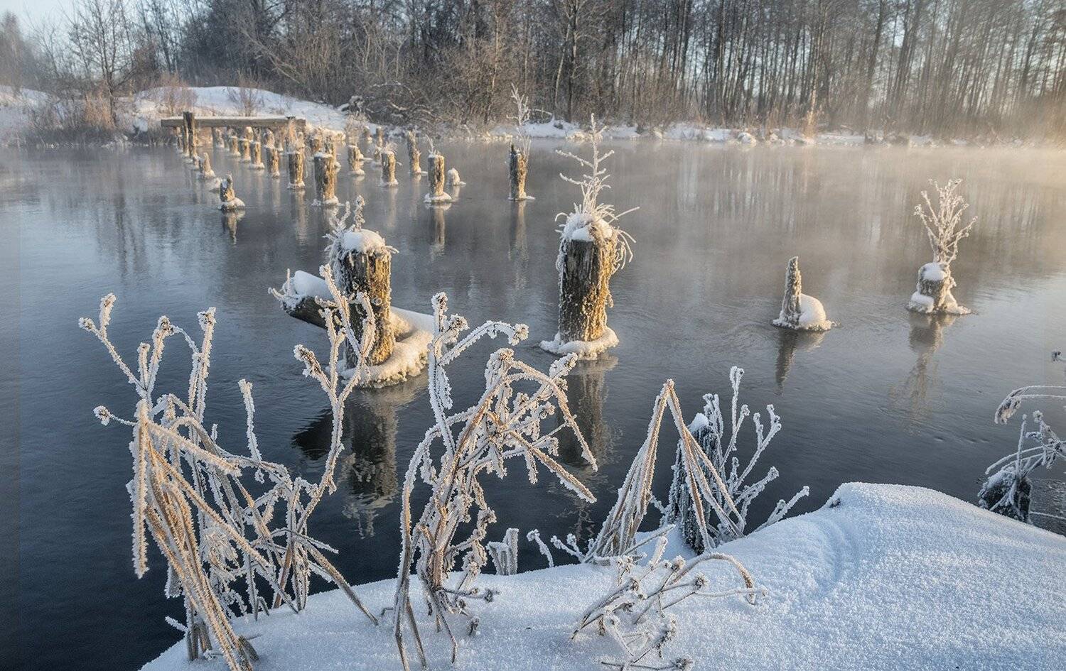 , Анатолий Зверев