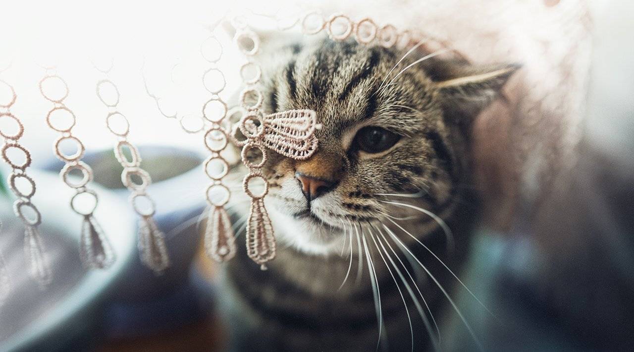 , Рублёв Дмитрий