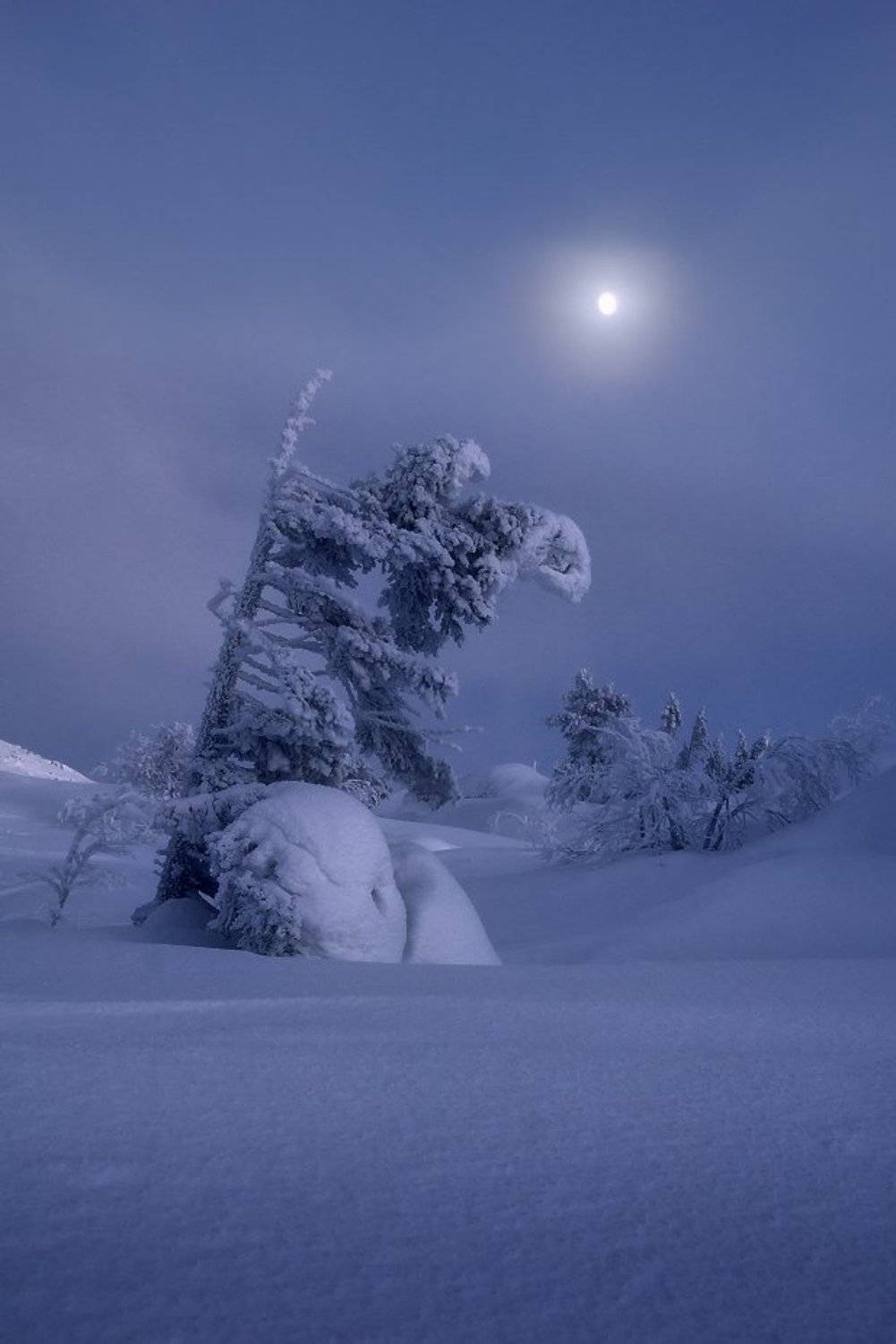 кольский полуостров, мурманская,кандалакша, Евгений Ляпунов