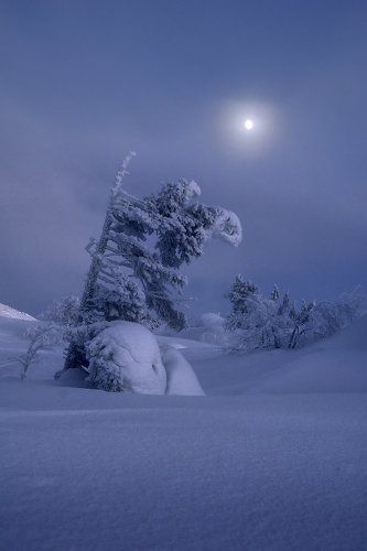 Вечер на горе