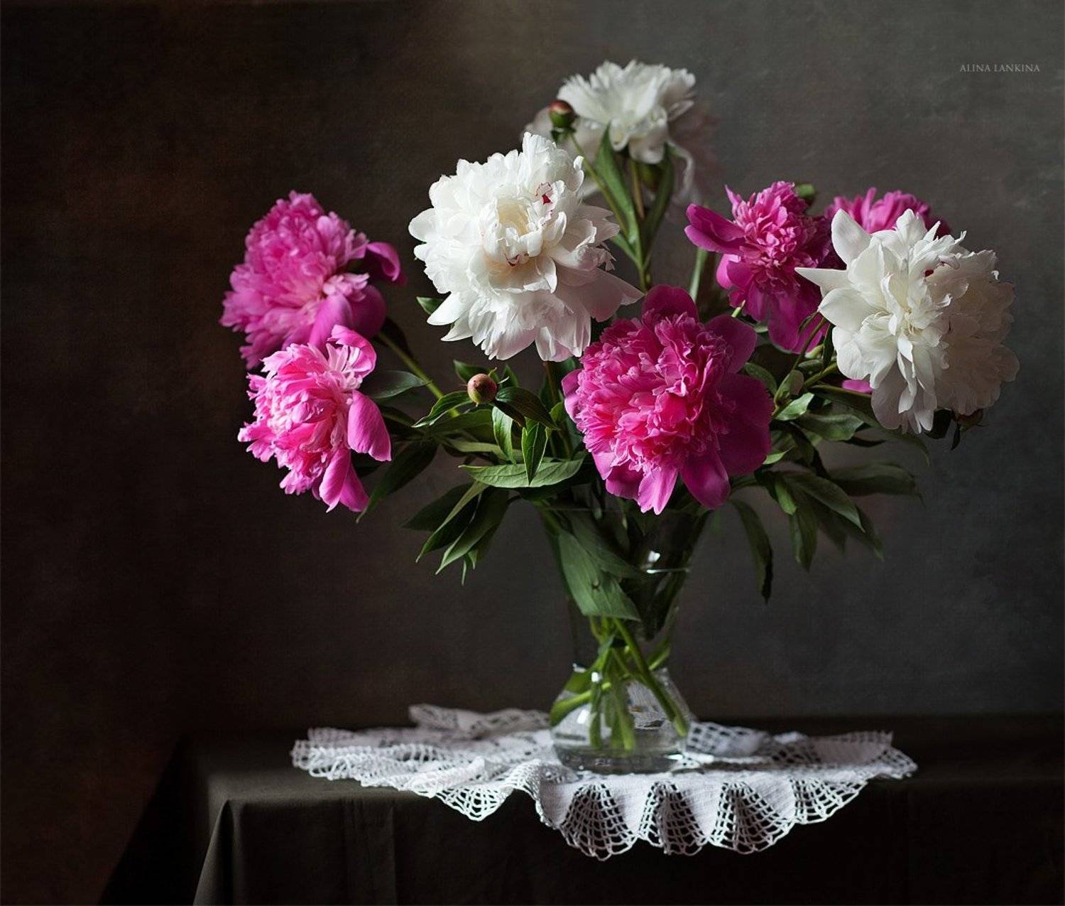 натюрморт, фотонатюрморт, свет, алина ланкина, пионы, цветы, лето, Алина Ланкина