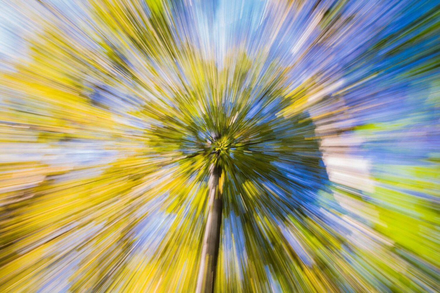 , Юрий Пужалин