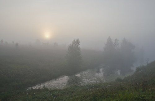 Сонные берега