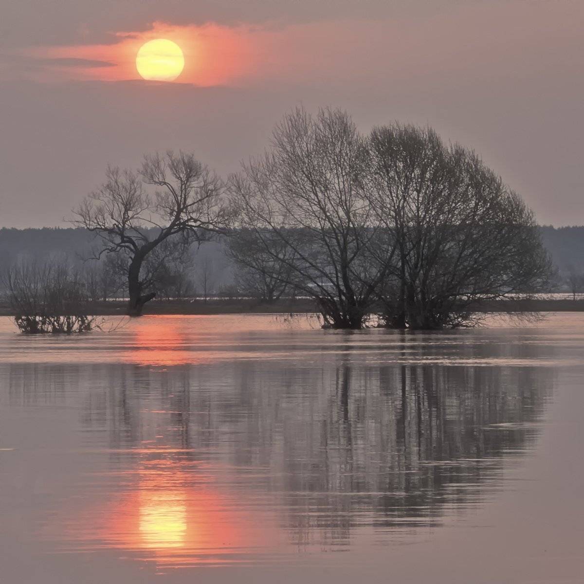 , Валерий Кондратов