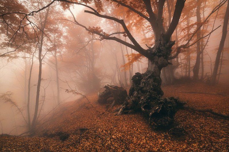 На склоне фото превью