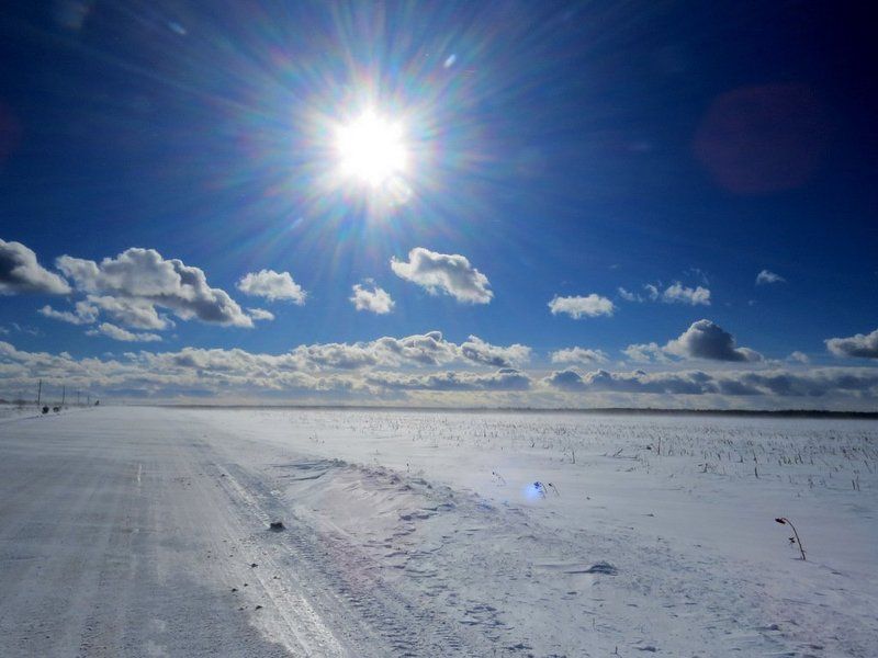 листопад Весенний воздух. фото превью