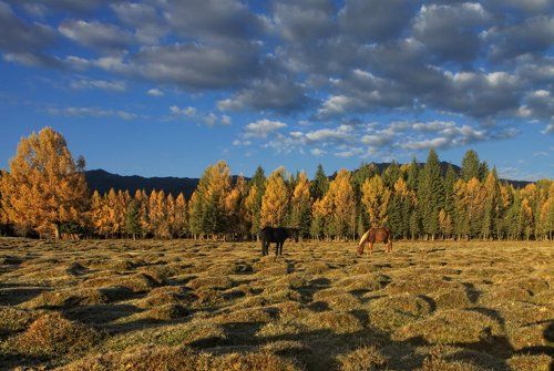 Погожий денёк в Беляшах