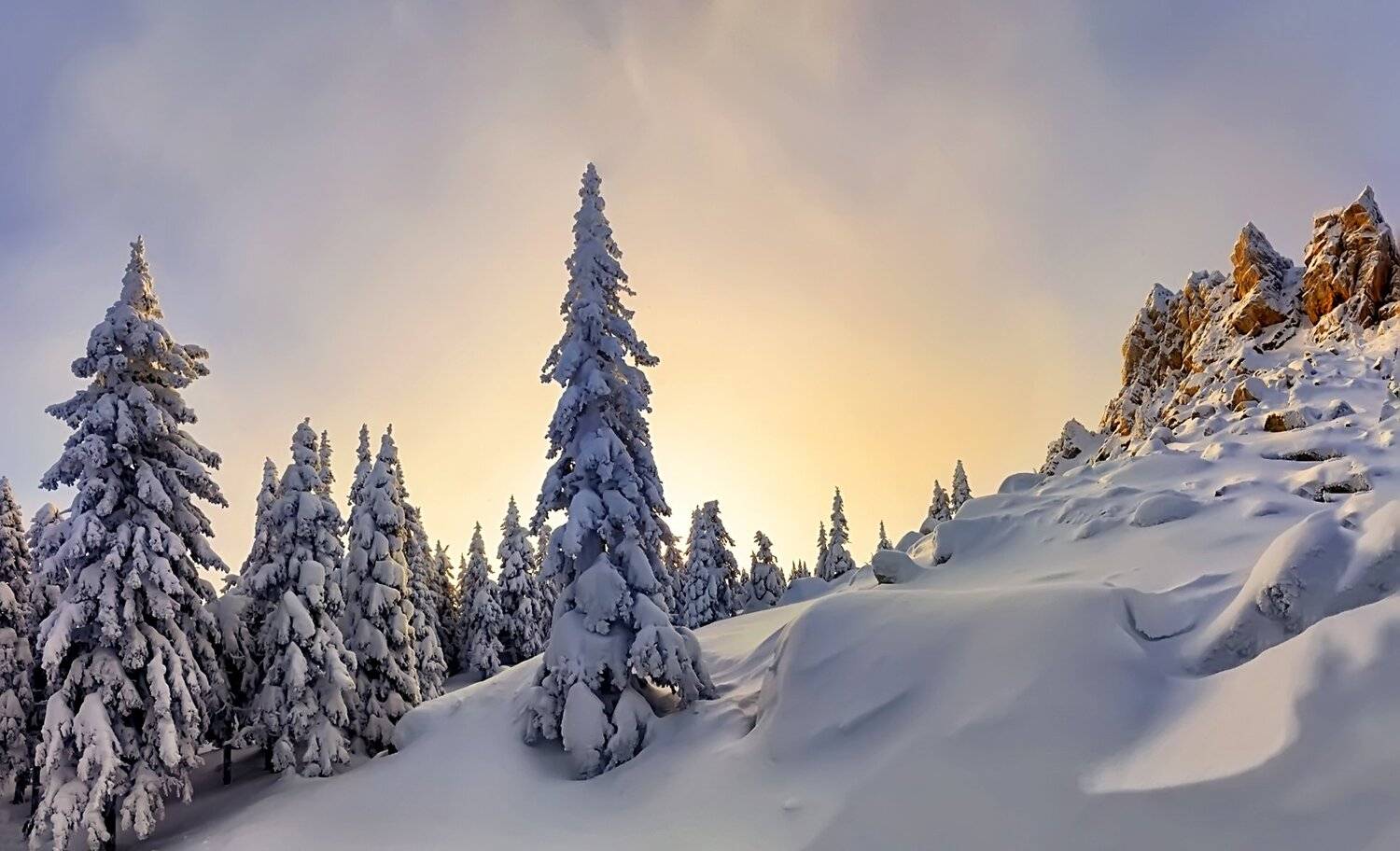 , Сергей Евдокимов