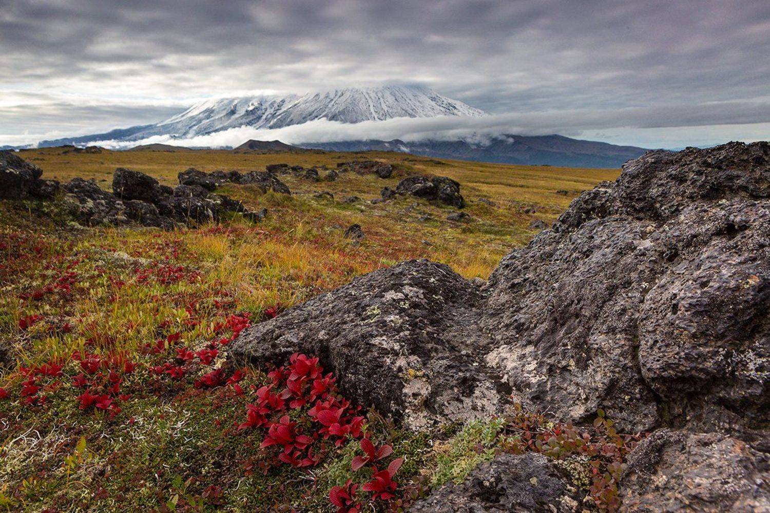 Камчатка, природа, Власов Егор