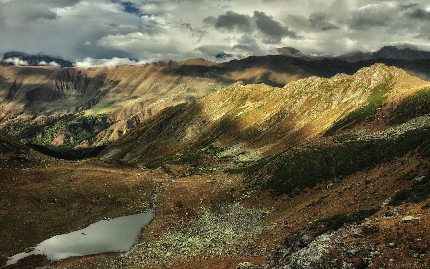 , Александр Круль