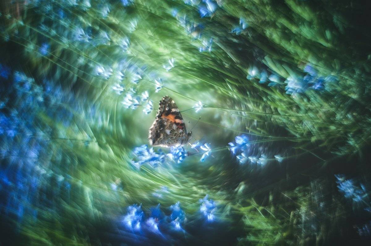 , Татьяна Аверина