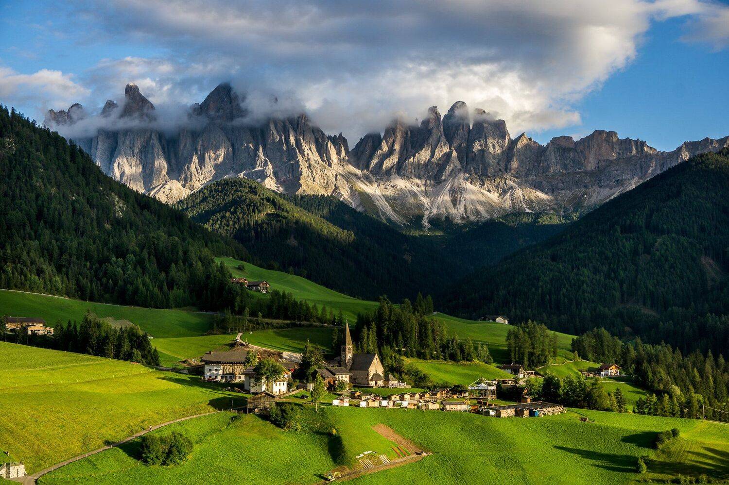 , Илияна Шишкова