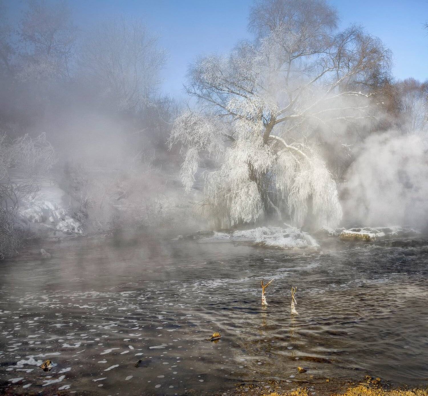 , Анатолий Зверев