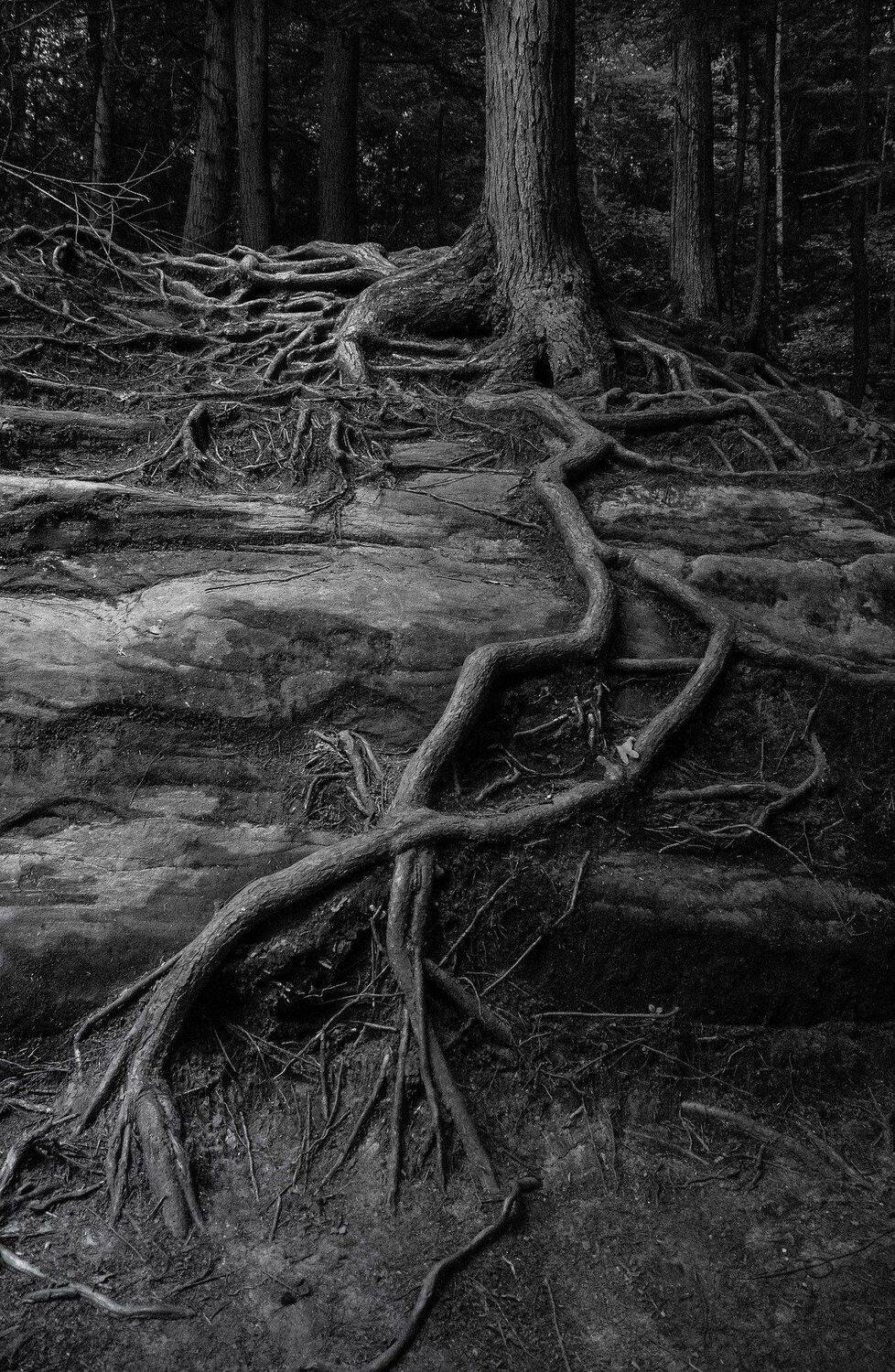 , Андрей Степанов