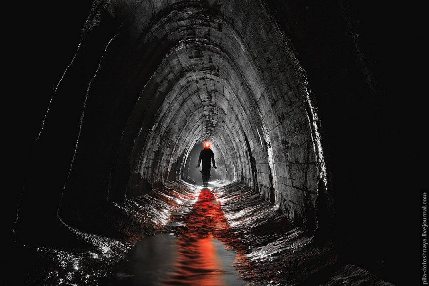 , Анна Аринова