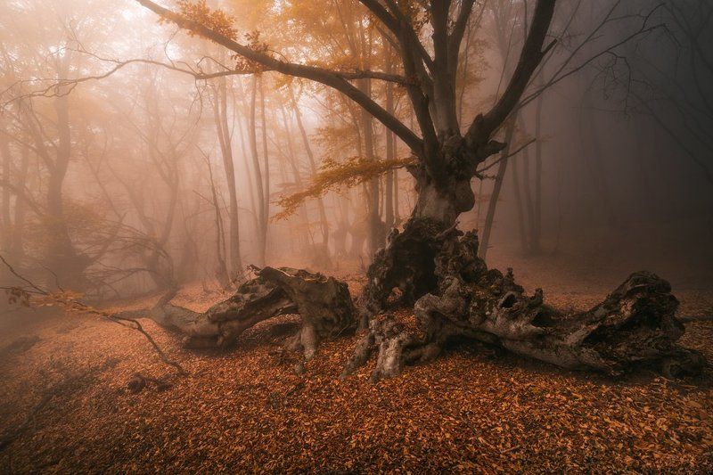 На Склоне фото превью