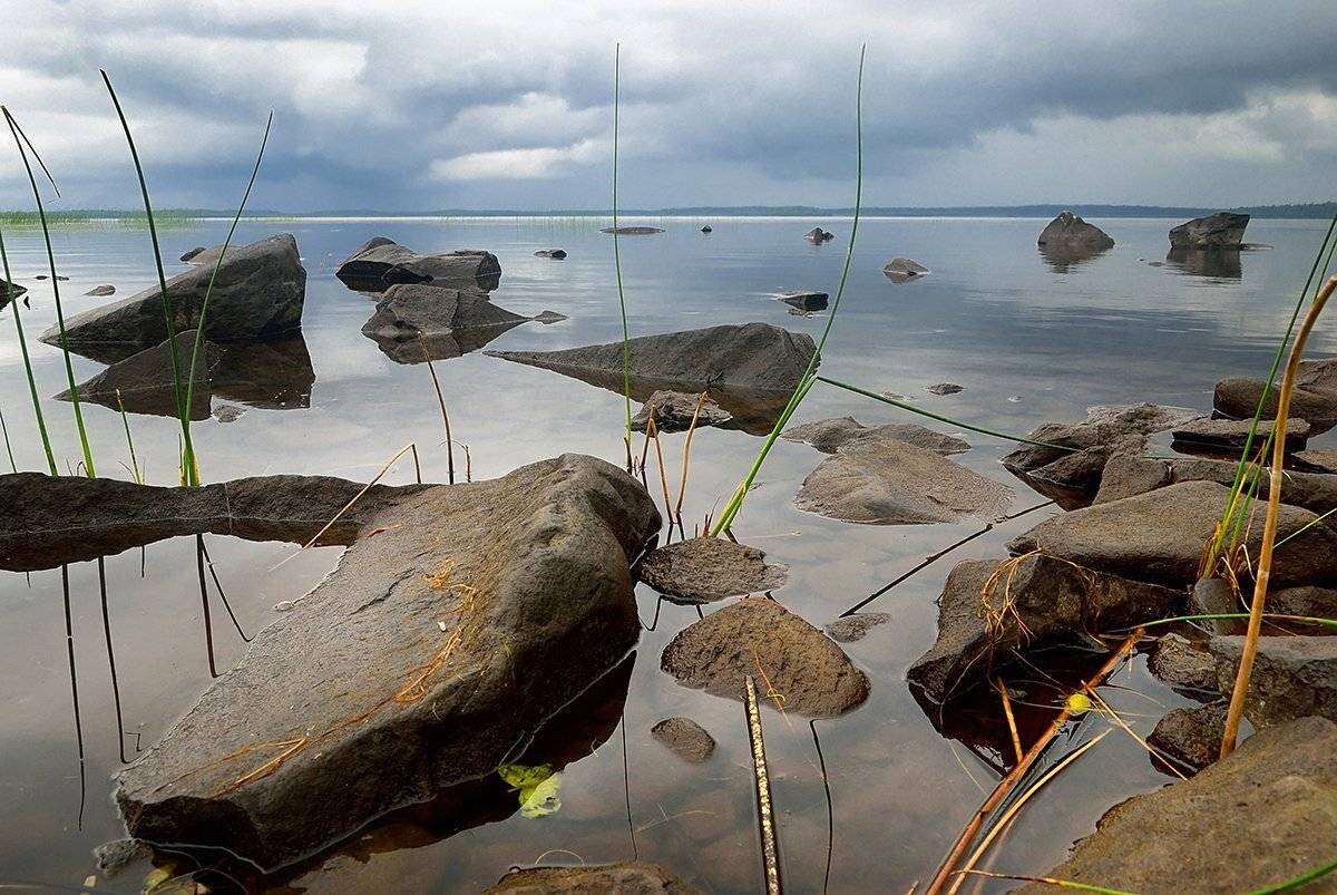 карелия, охта, озеро, пейзаж, пасмурно, d80, Лопухов Сергей