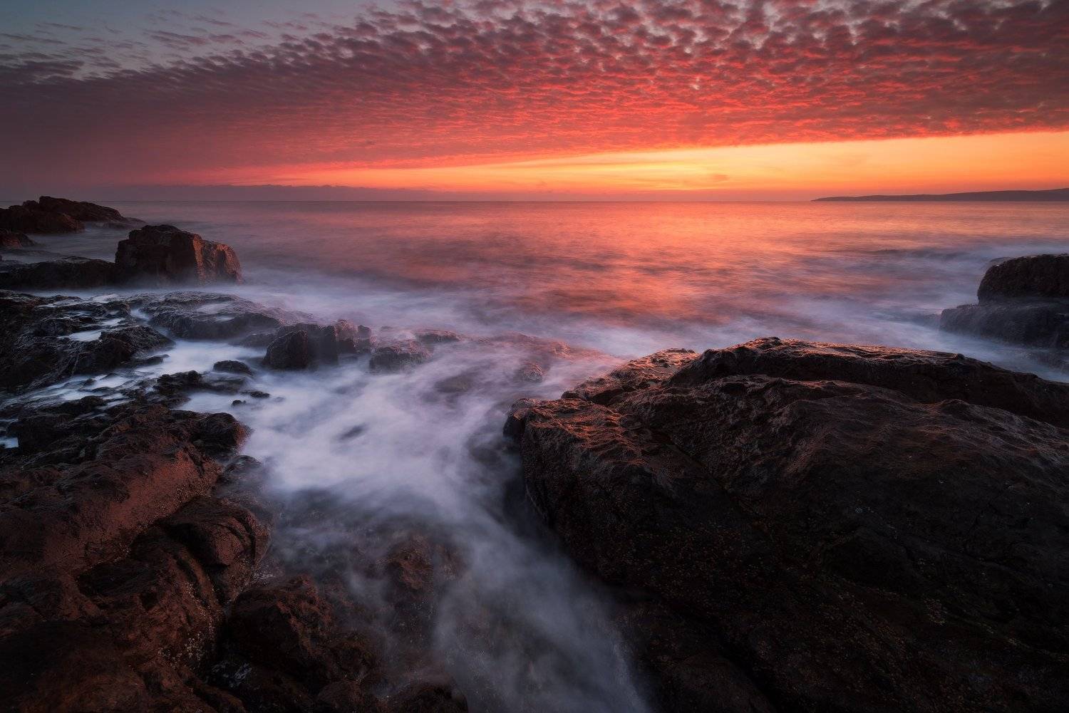 , Иван Димов