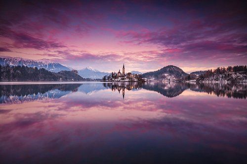 bled