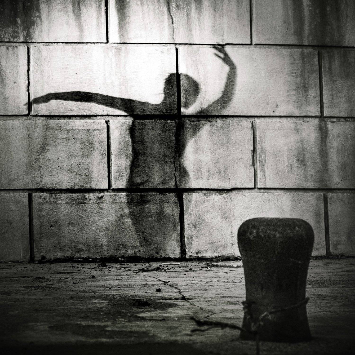 , Петр Колчин