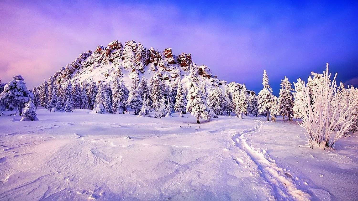 , Сергей Евдокимов