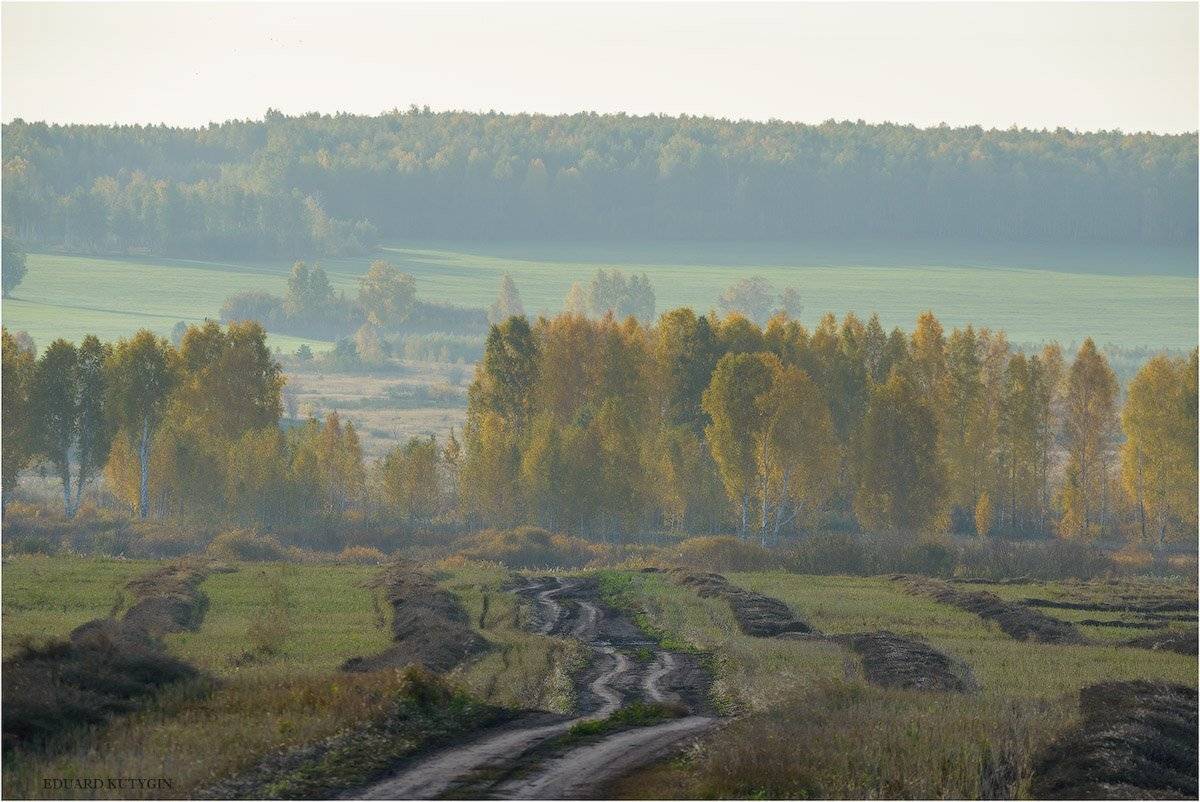 кутыгин, зауралье, Кутыгин Эдуард