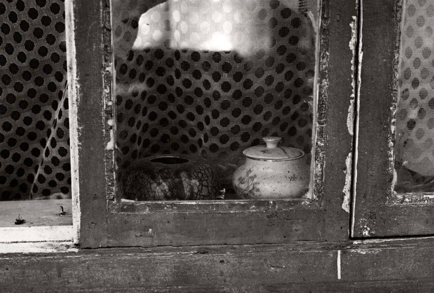 , Олег Вахник