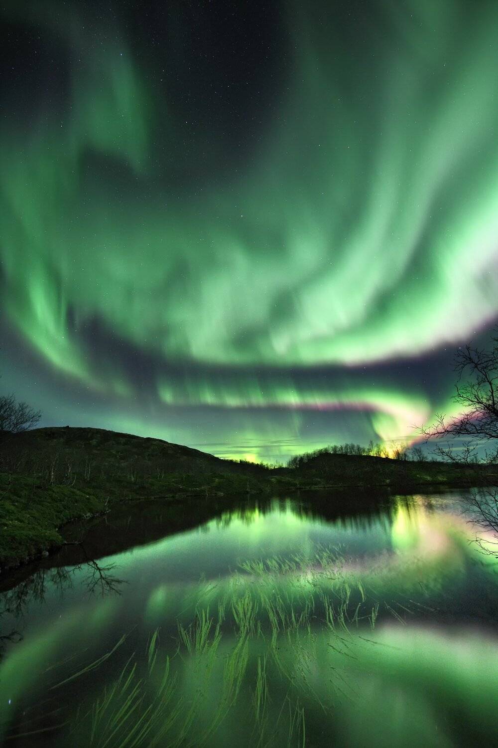 мурманская область сияние отражение, Daemus