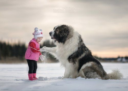 Дай пять, Багги!