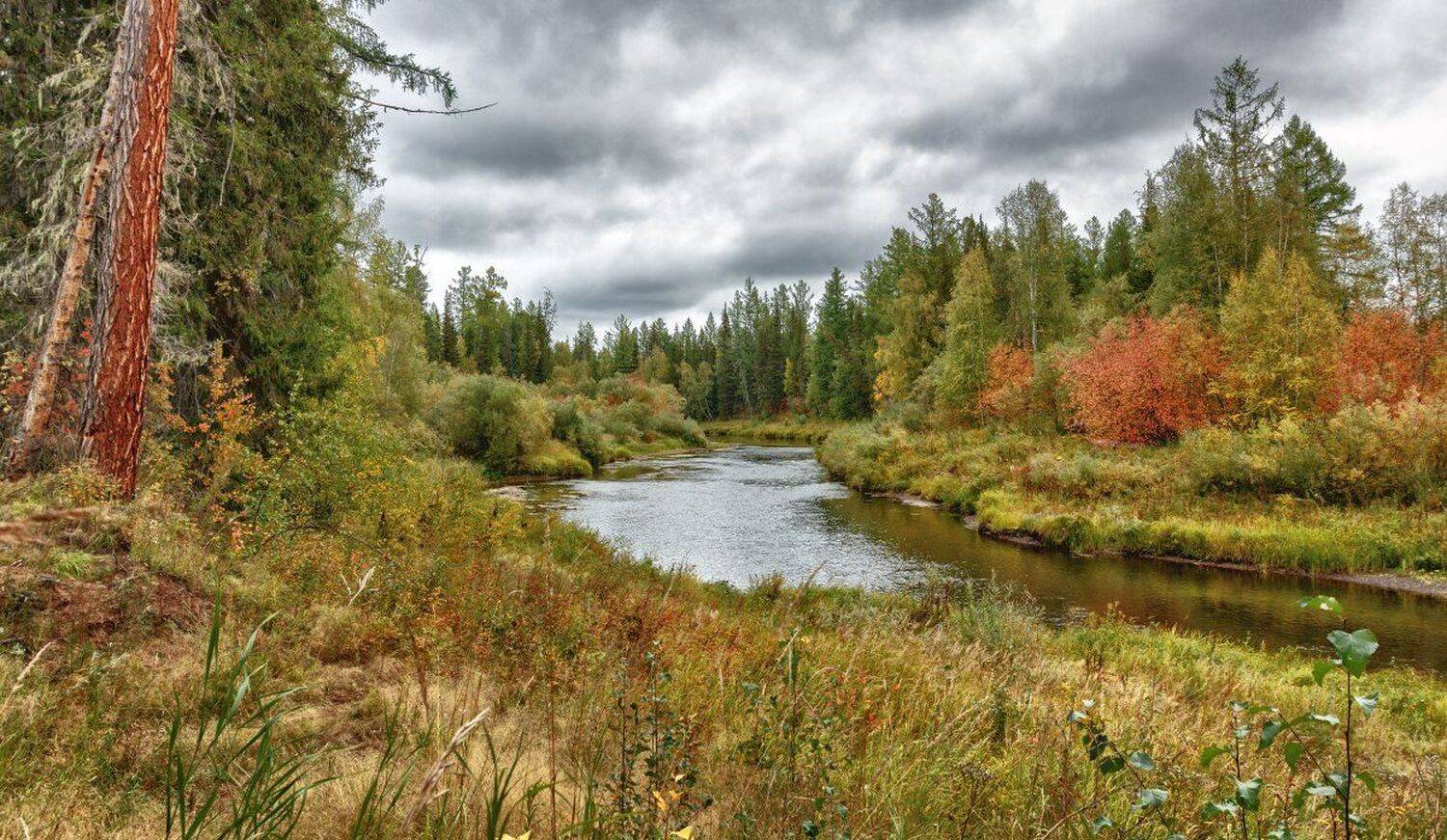 , Николай Андреев