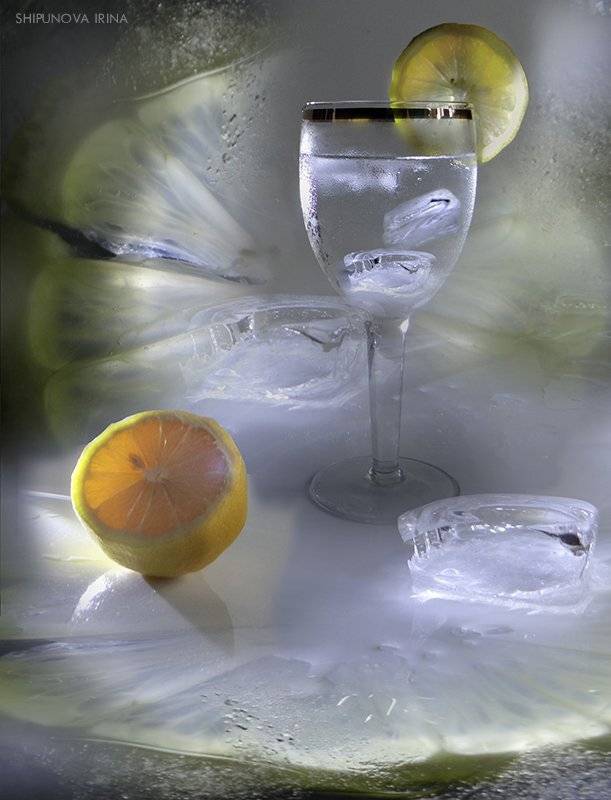 , Шипунова Ирина