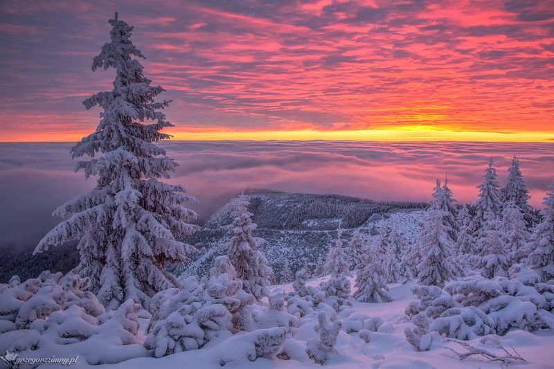 Winter Sunrise фото превью