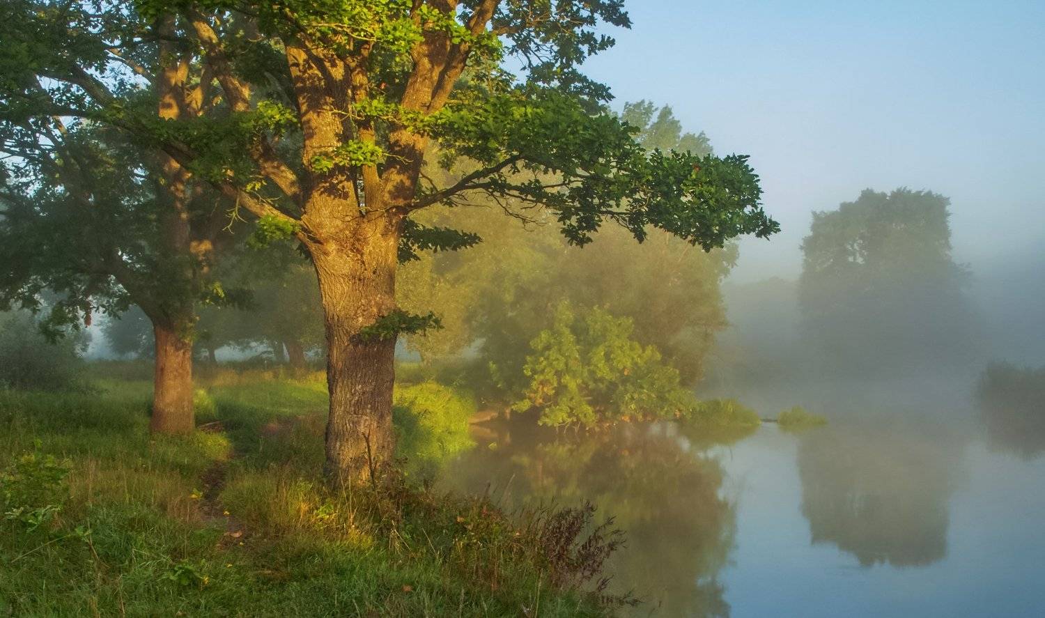 рассвет, туман, Александр Гвоздь